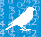 bird in square72 bird in square72